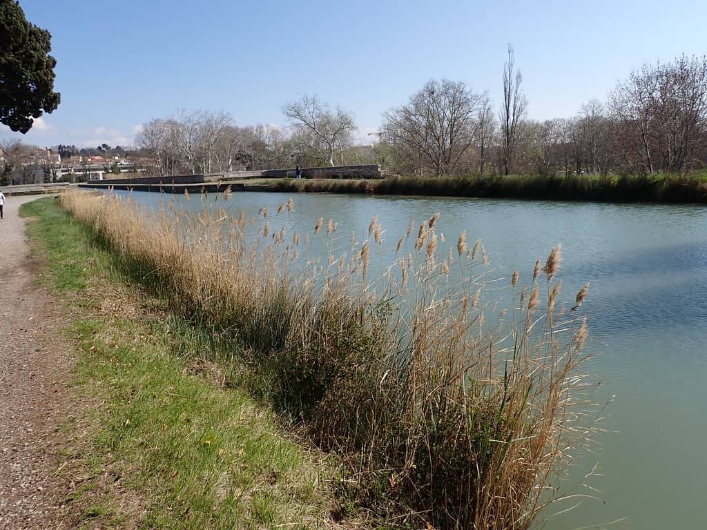 Canal du Midi Walk
