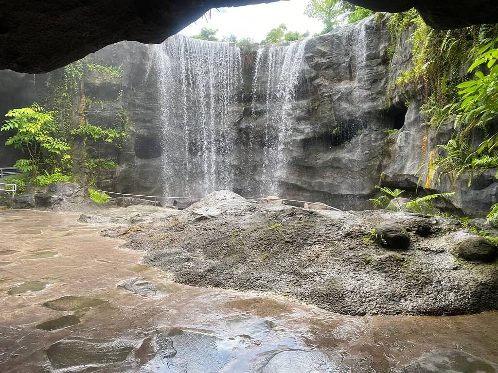 Vertical photo