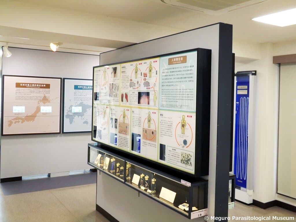2階展示室「人間に関わる寄生虫」