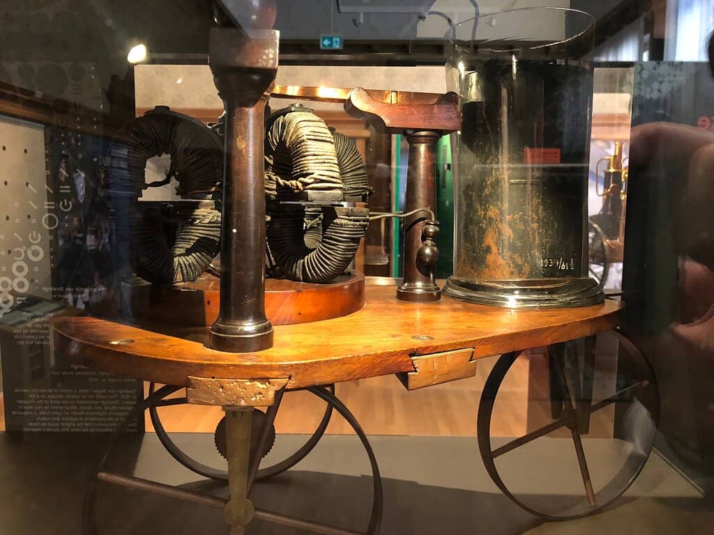 Vibrant Bird Collection