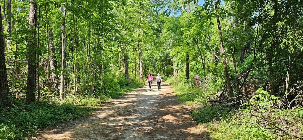 Mountain Bike Trails