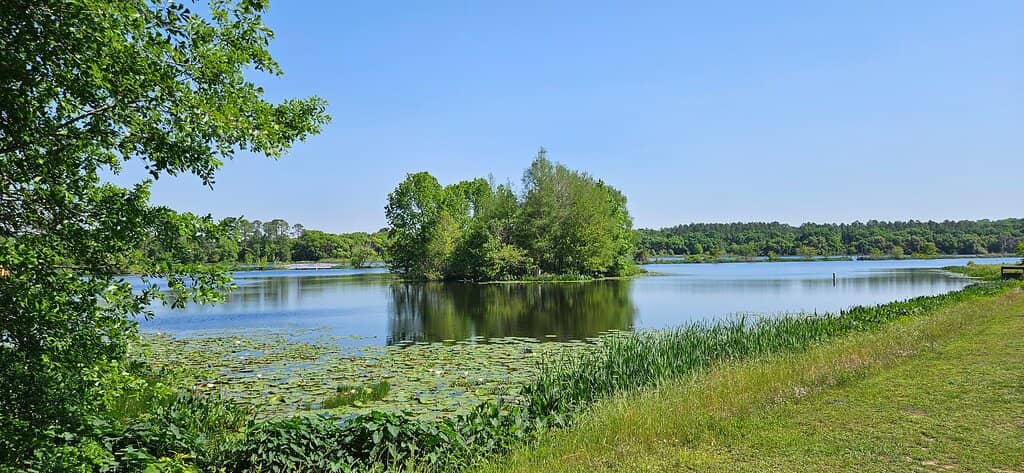 Scenic Lake Loop