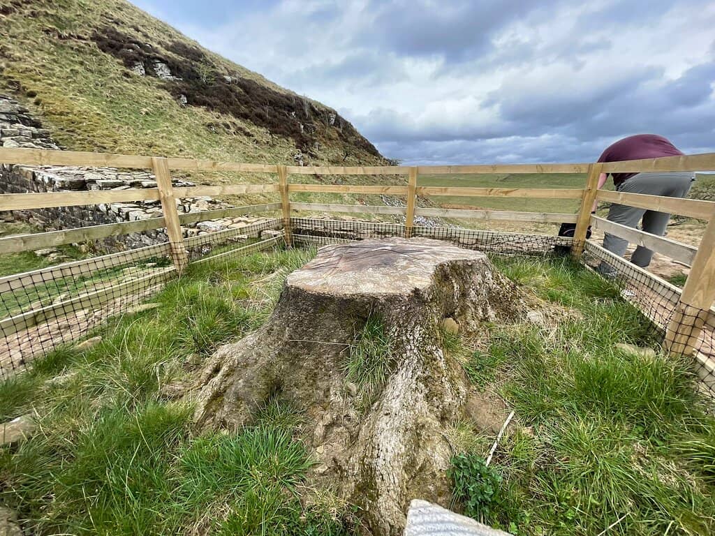 Panoramic Northumberland Views