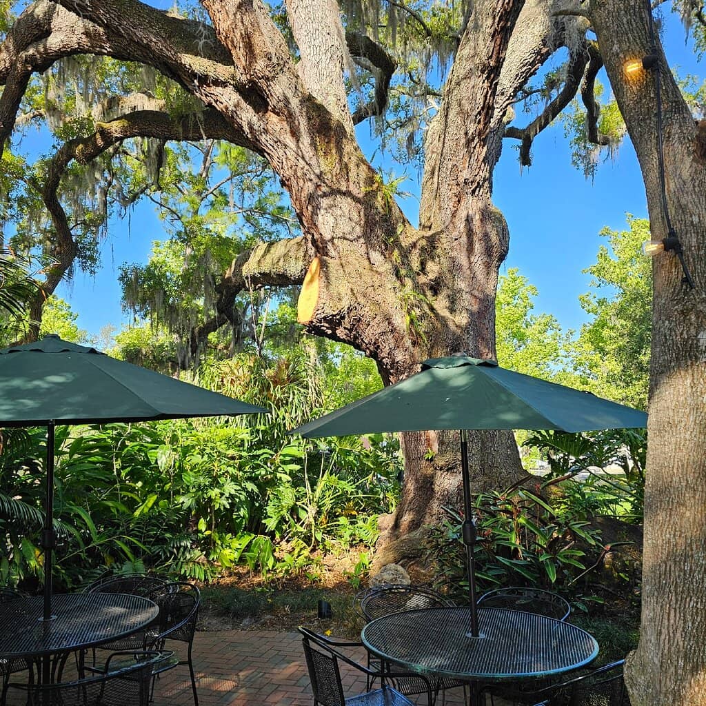 Eden Bar & Outdoor Seating