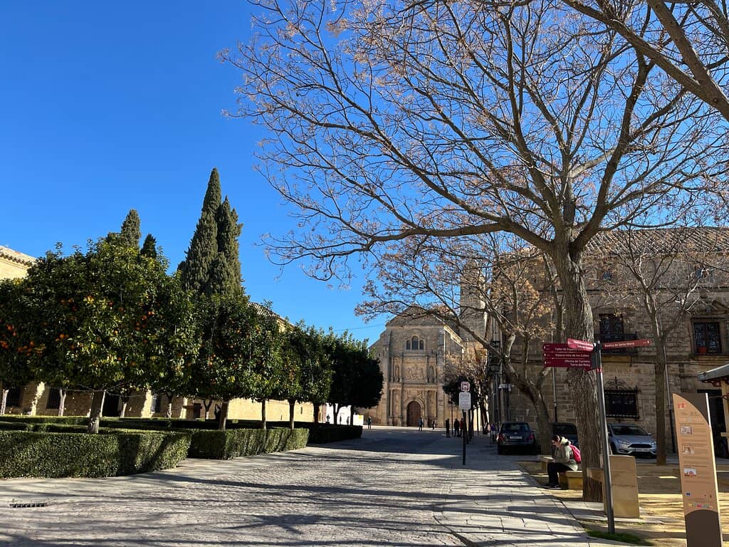 Iglesia de Santa María de los Reales Alcázares