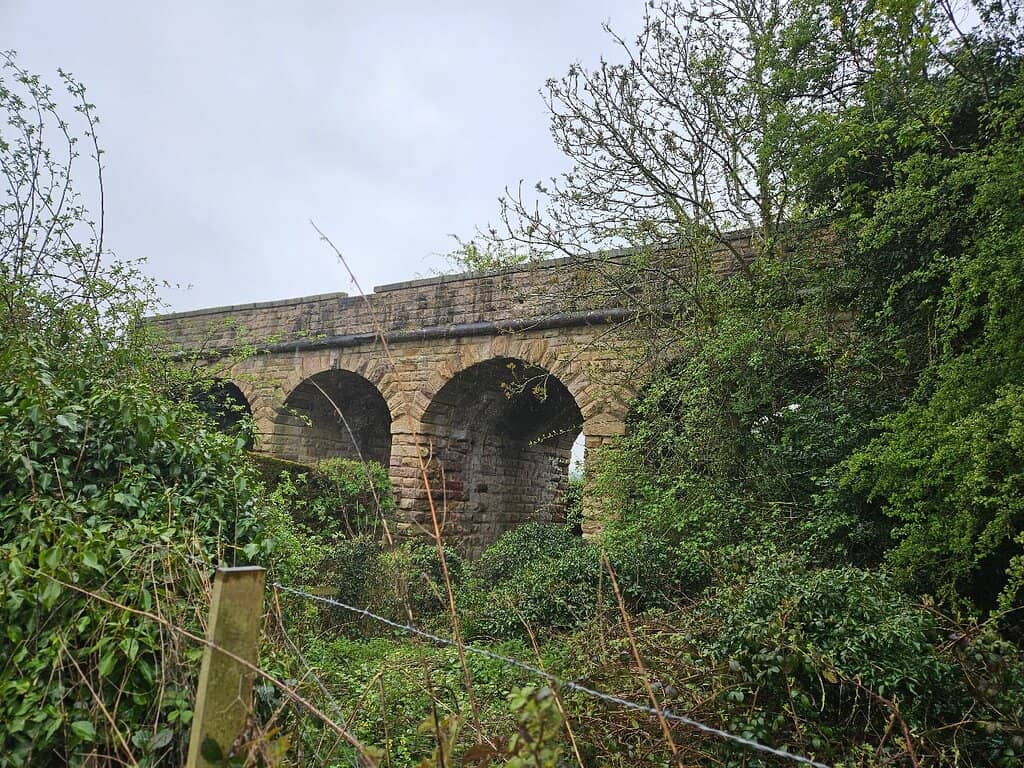 Percy Family History