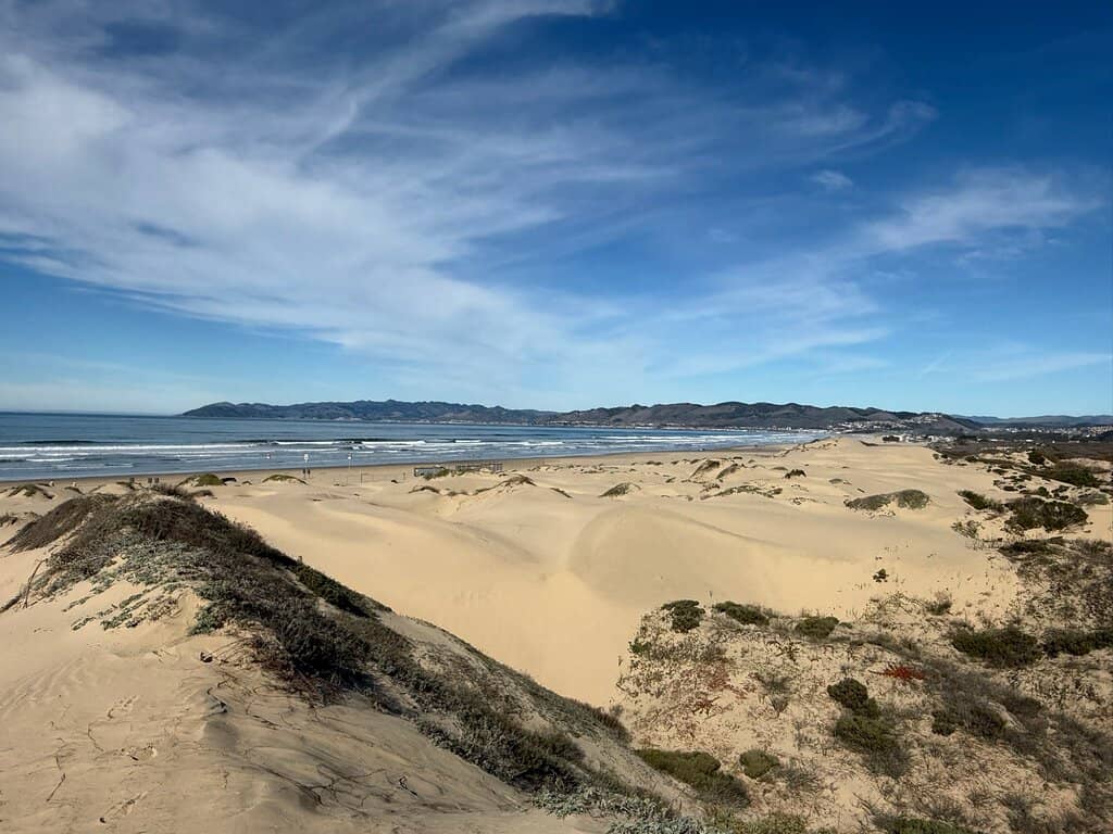 Monarch Butterfly Grove