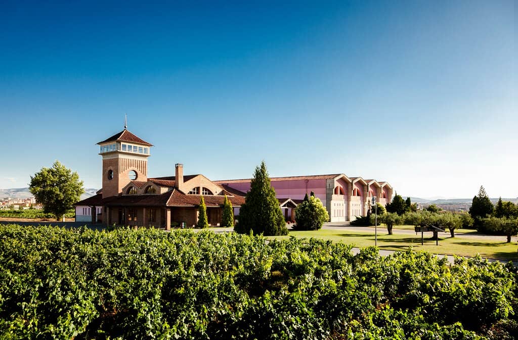 Laguna de Viña Ijalba