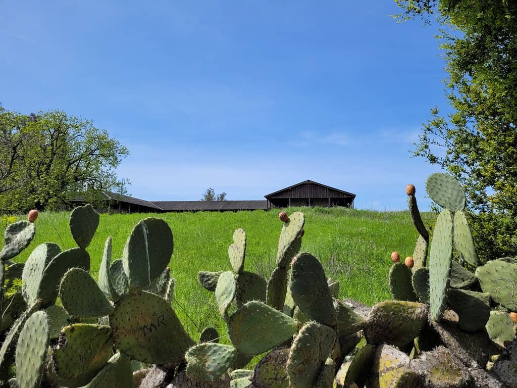 Docent-Led Tours