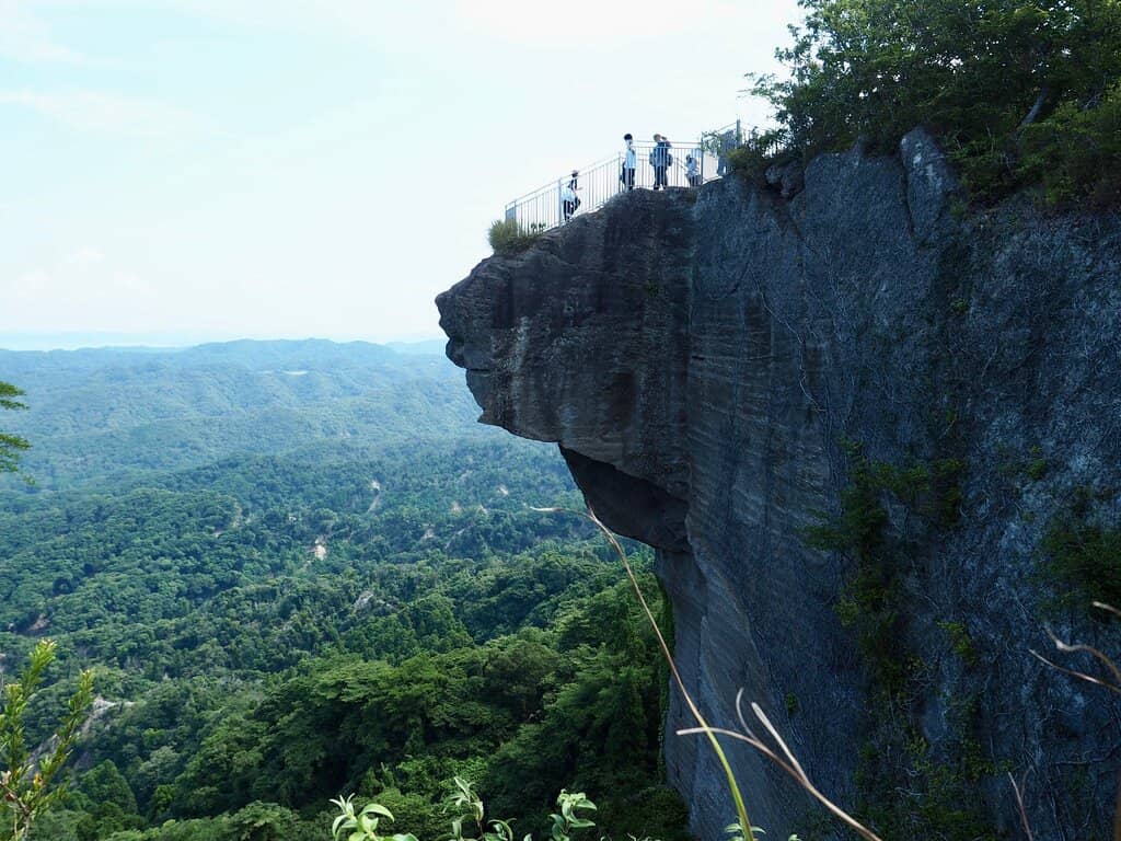 Vertical photo