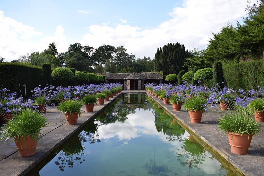 The Dutch Garden
