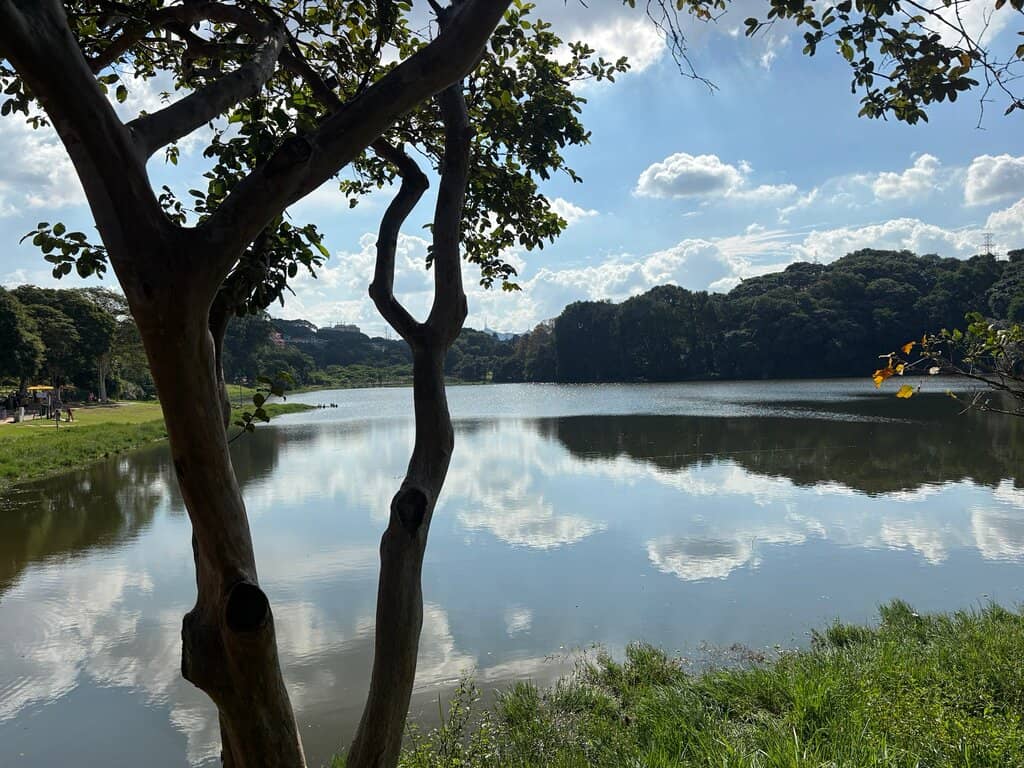 Panoramic City Views