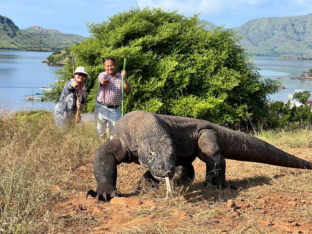 Setelah puluhan tahun di Eropa, kemudian memilih untuk menikmati tanah air sendiri. Betapa kagumnya mereka menemukan keanekaragaman hayati pada alam tropis Nusantara. What a wonderful land !   Pak Dadang dan Bu Octa adalah pasangan suami istri berasal dari Bandung. Keduanya diaspora Prancis sejak 50 tahun yang lalu. Kebudayaan kuliner dengan citarasa yang renyah, gurih dan maha enak di Indonesia mereka kembangkan di Prancis, sebuah restoran indo pun didirikan disana.