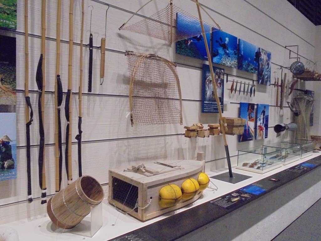 Pacific Island Canoes