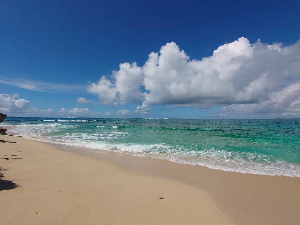 Pristine White Sands