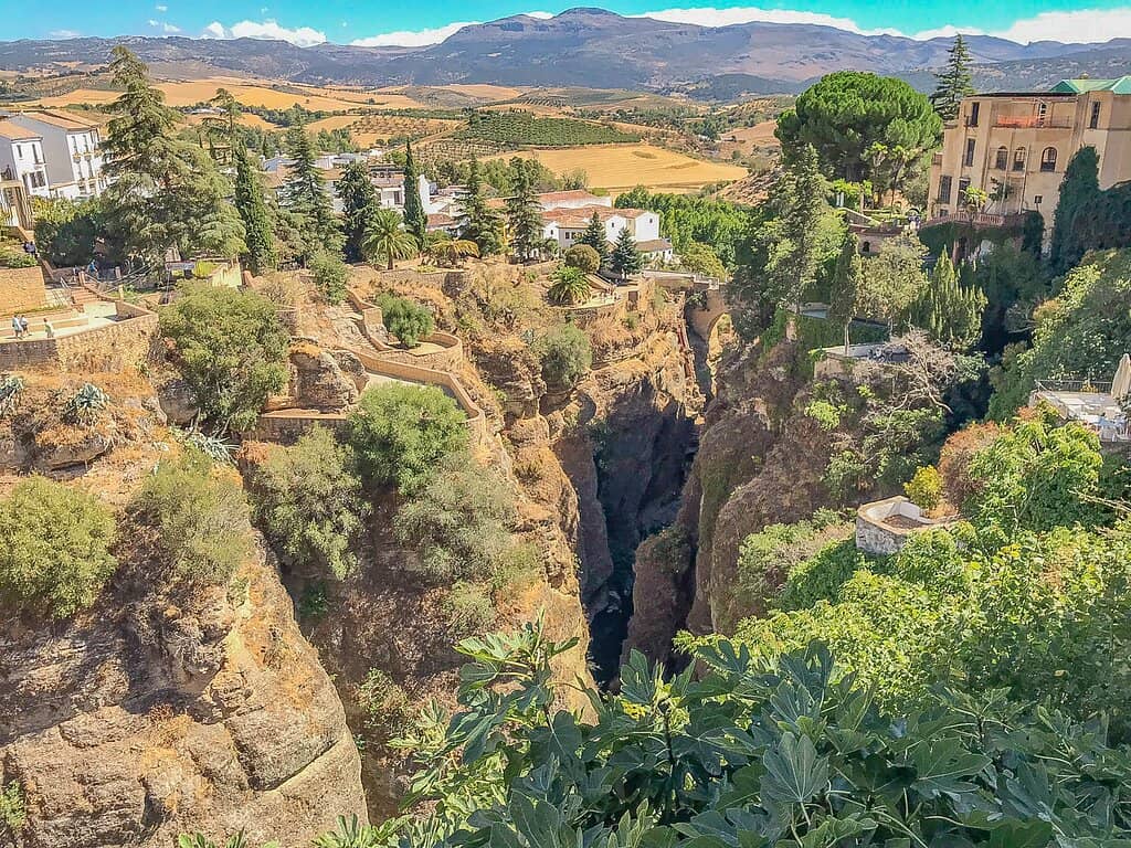 Soaring Birds and Rock Nests