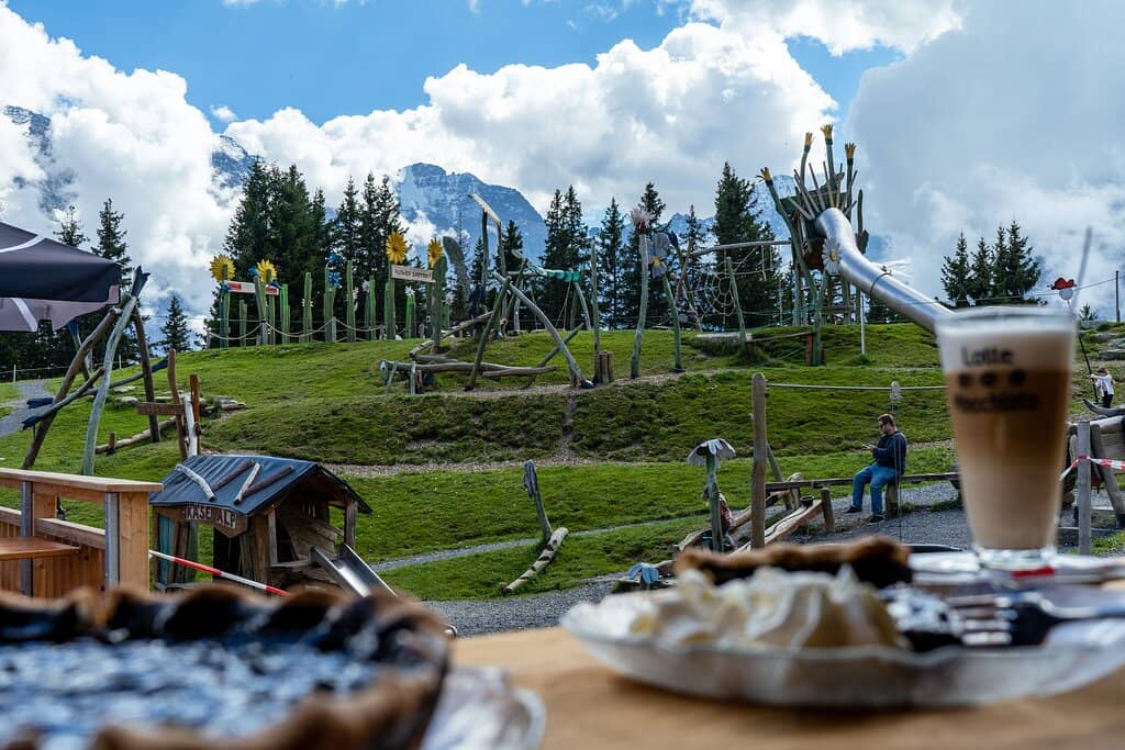 Panoramic Mountain Views