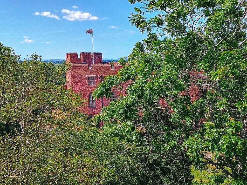 Laura's Tower Views