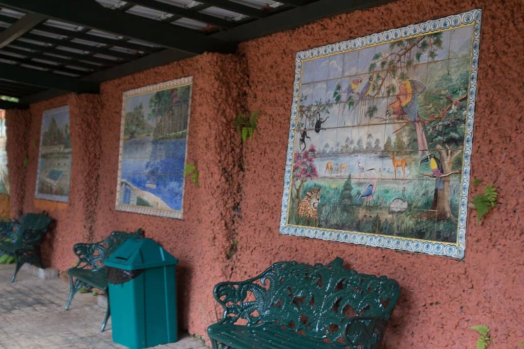 Therapeutic Mineral Springs