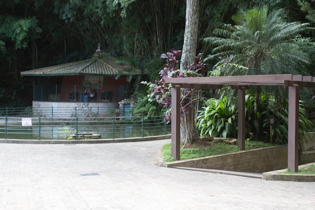 Lush Greenery and Lake