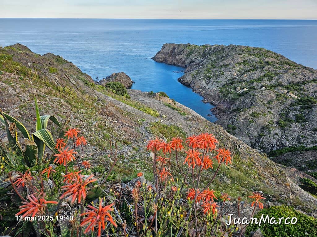 Rugged Coastal Trails