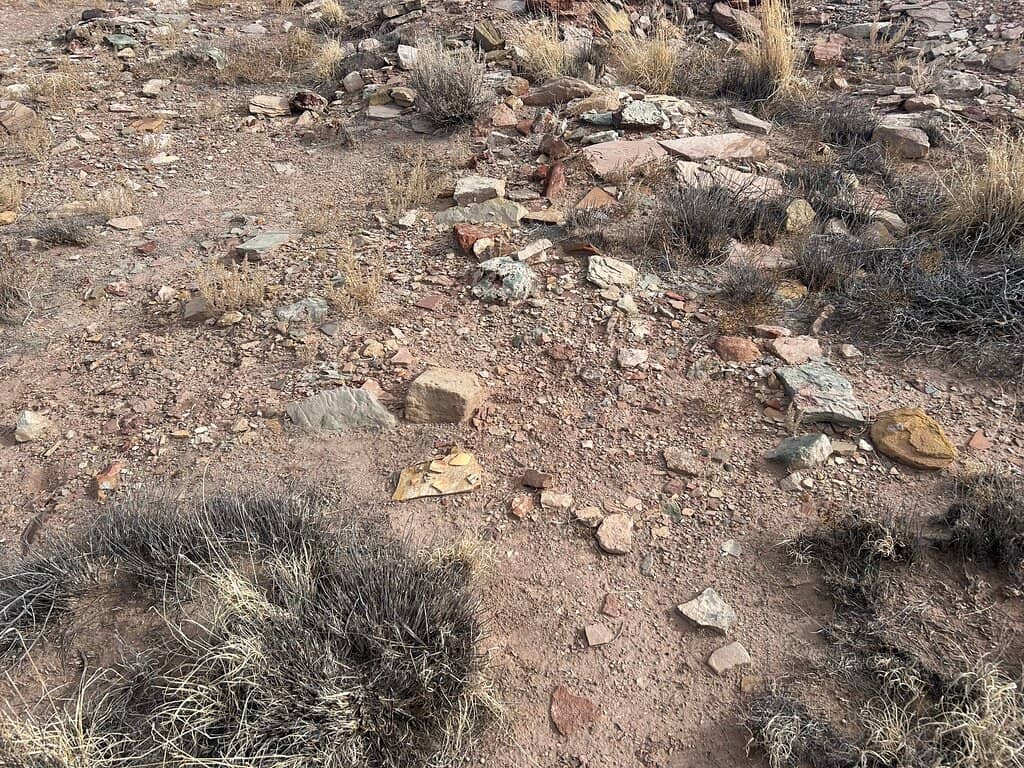 Ancestral Hopi Village Ruins