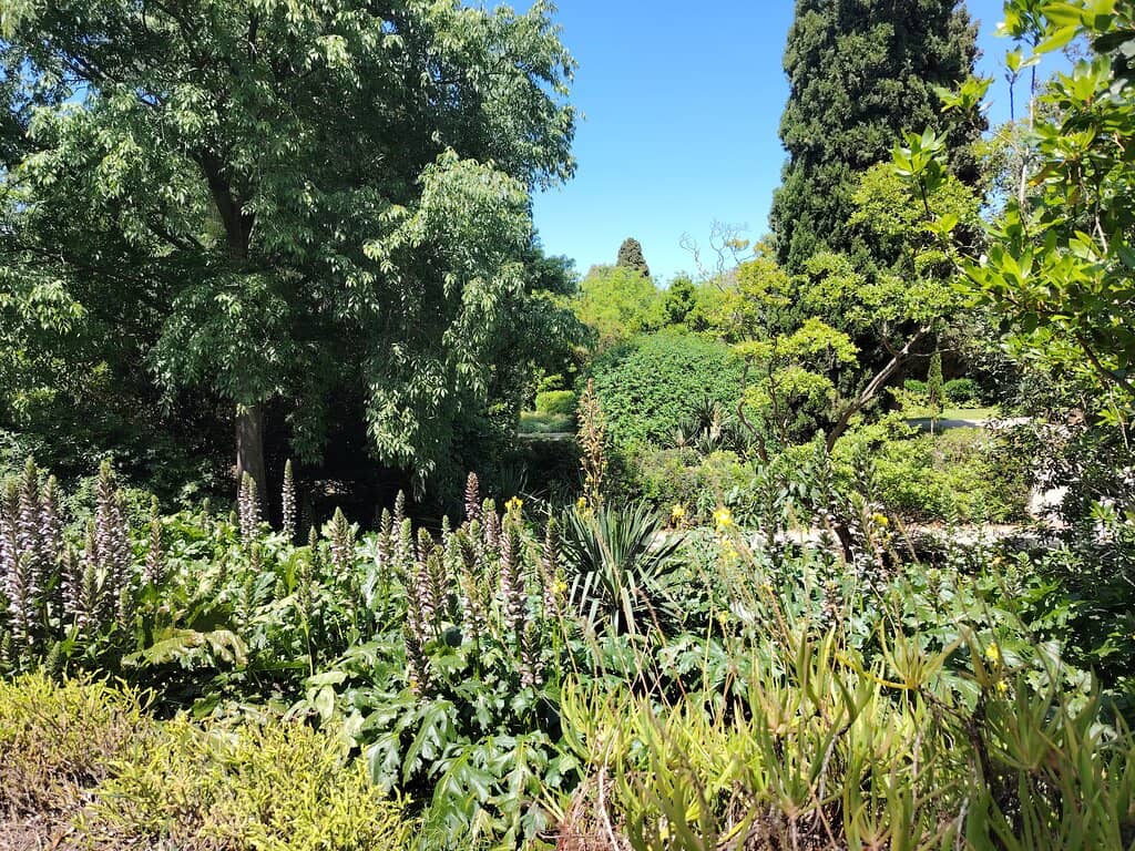 Coastal Path Adventures