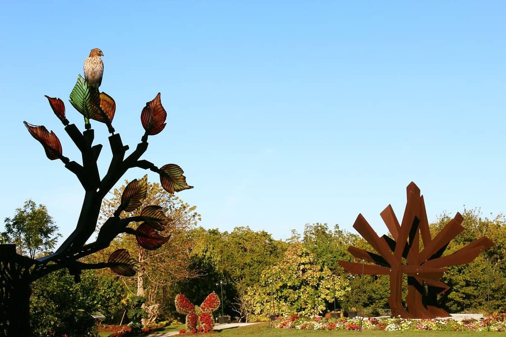 Sculpture Gardens