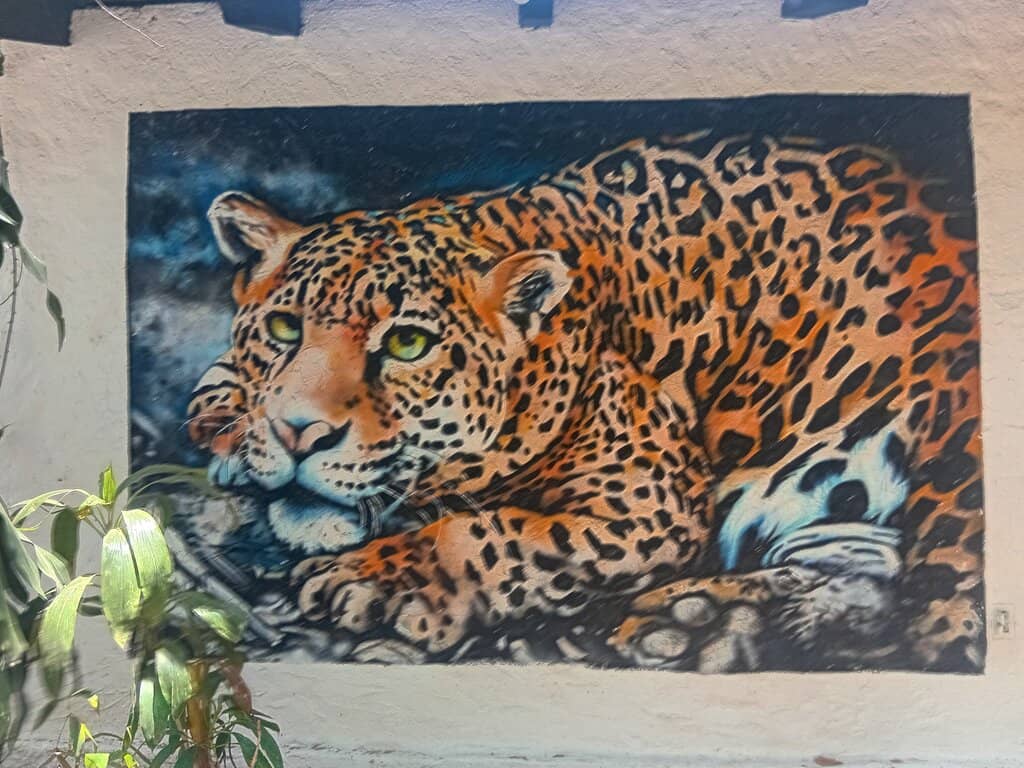 Jungle Trails & Wildlife
