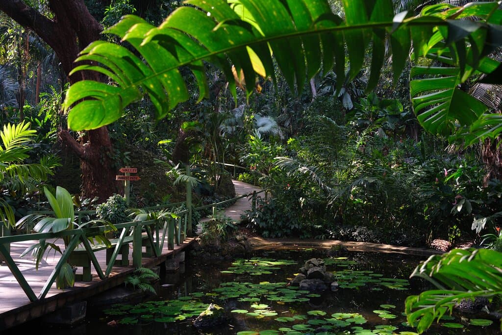 Immerse yourself in peace.