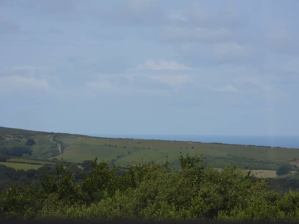Woodland Walking Paths