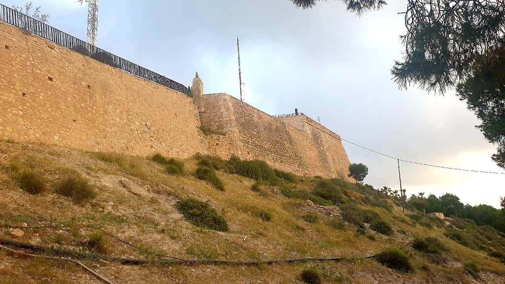 Panoramic City Views