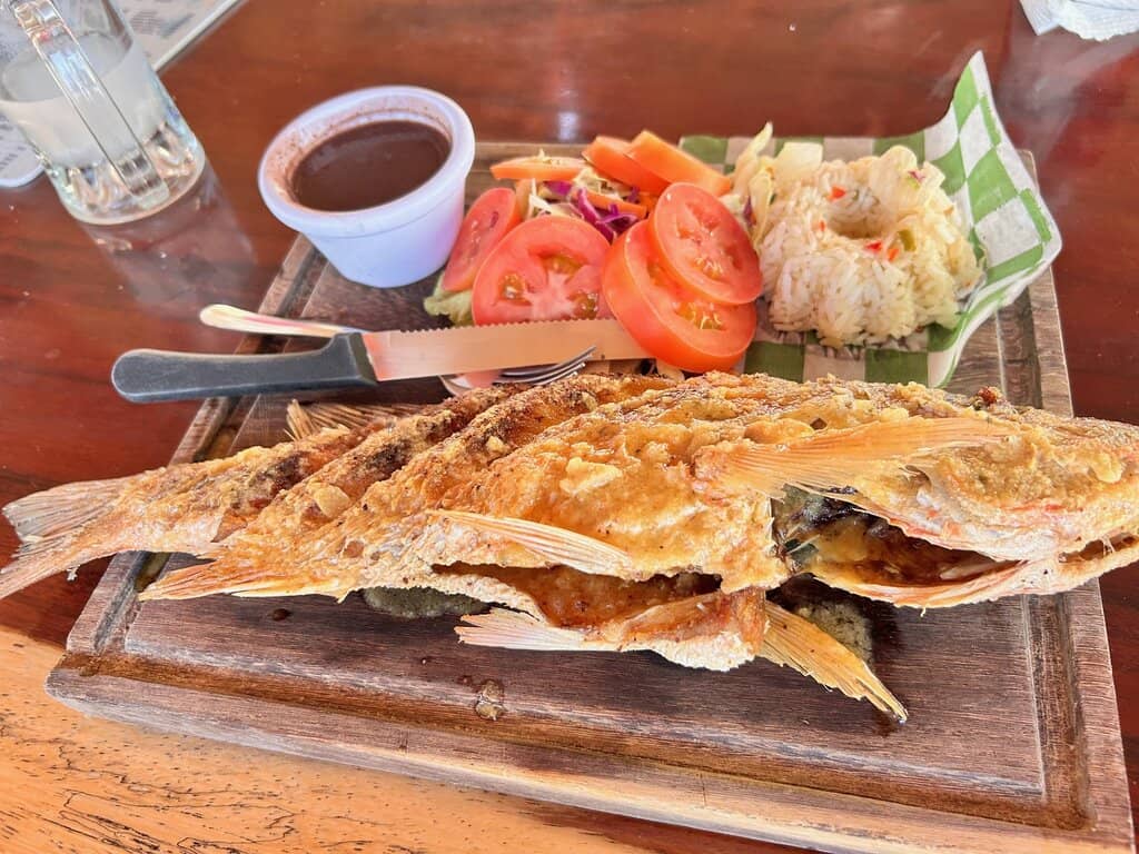 Ancient Stromatolites