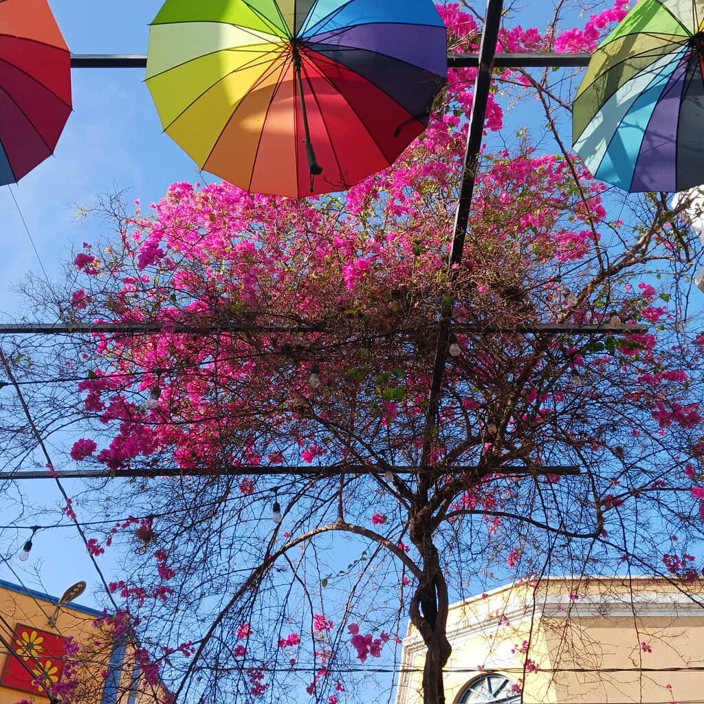 Local Crafts and Souvenirs