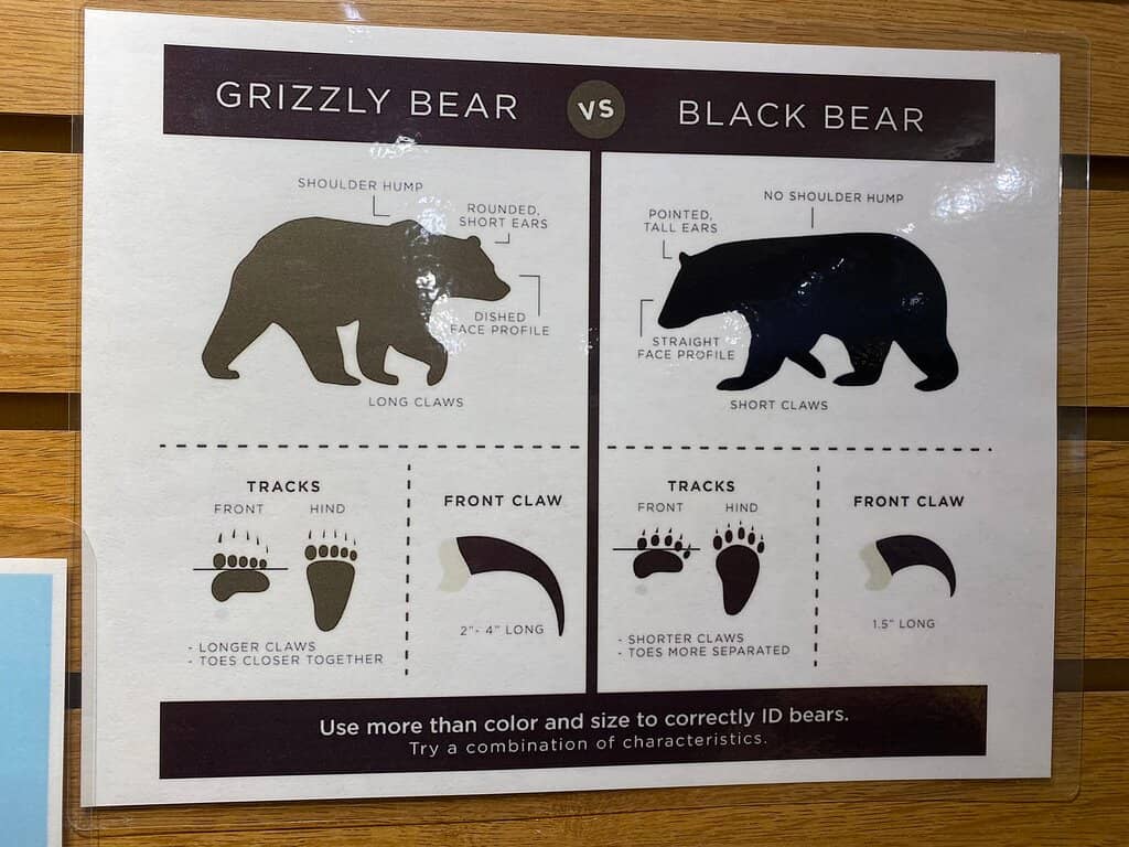 Glacial Activity Exhibits