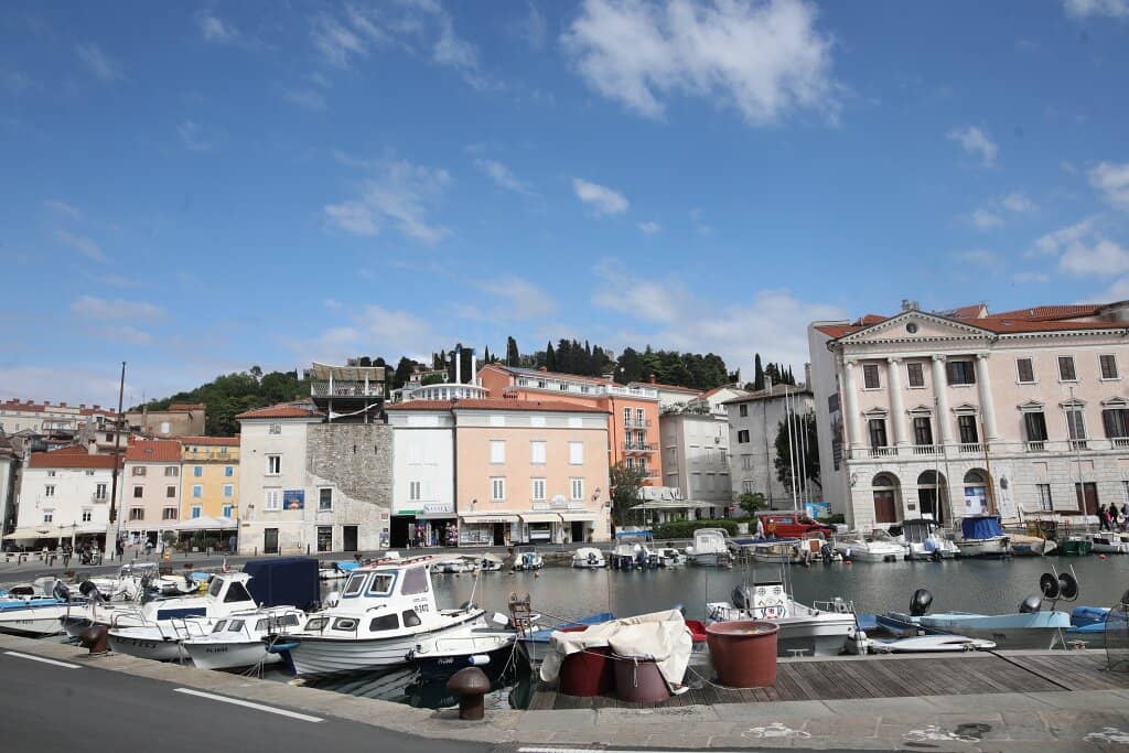 Expert Staff Explanations