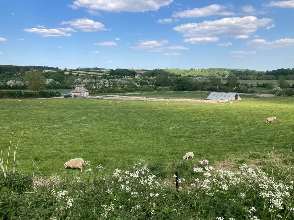 Underfloor Heating System