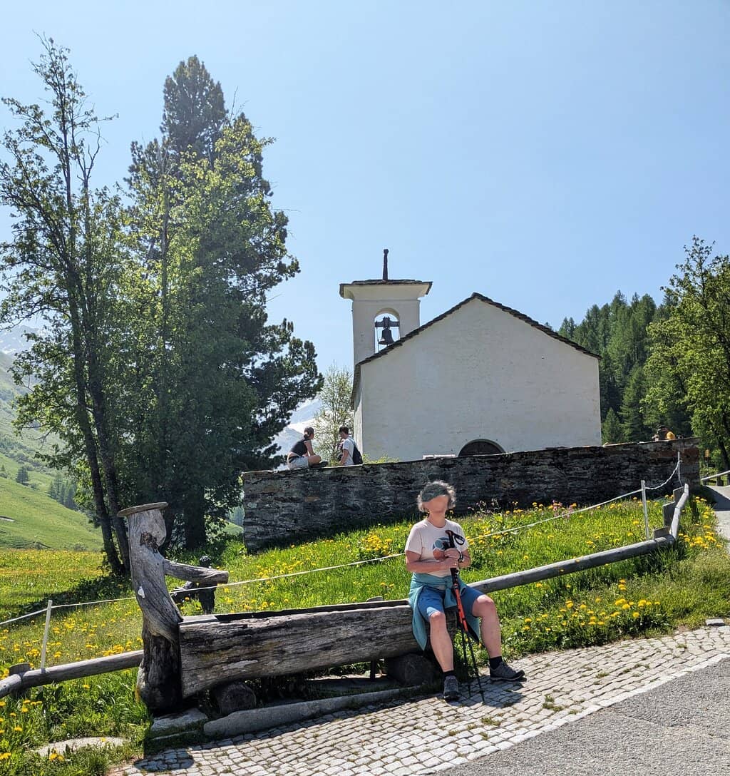 Alpine Meadows and Peaks