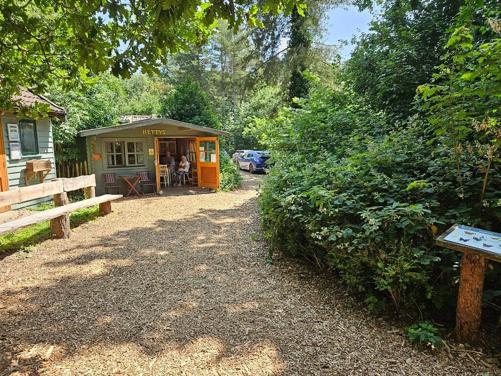 Woodland Walks