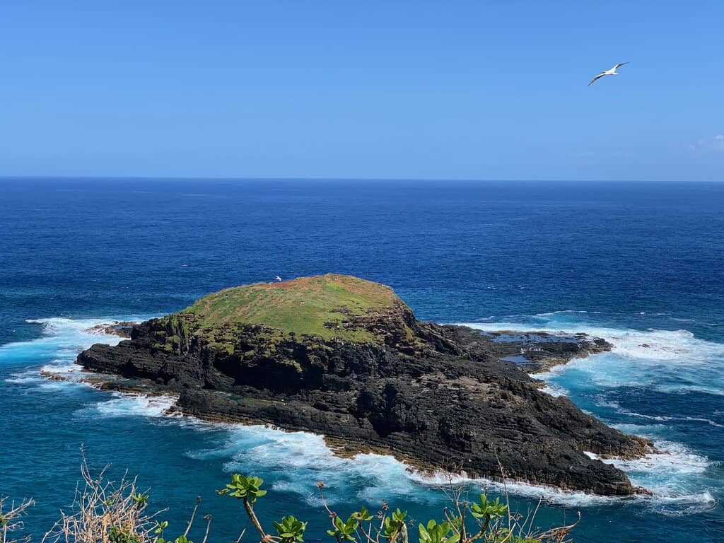 Dramatic Coastal Views