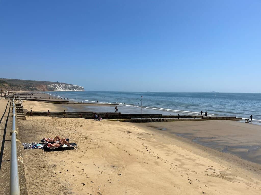 Tranquil Beachcombing