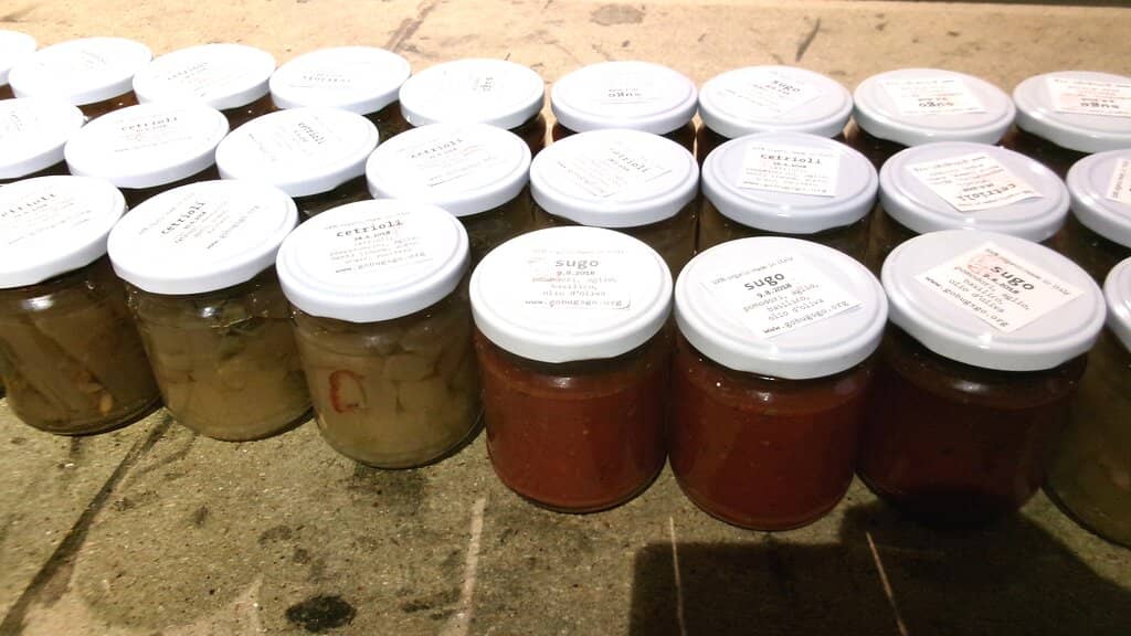 What the Fem* Exhibition