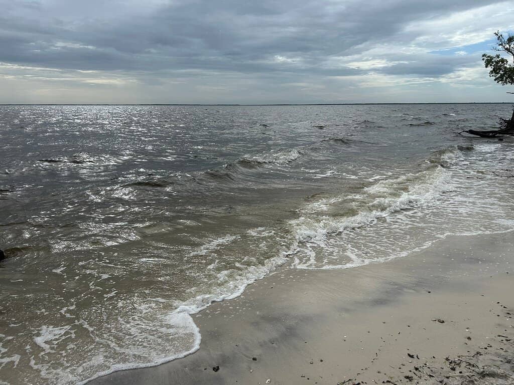 Seashell Beach