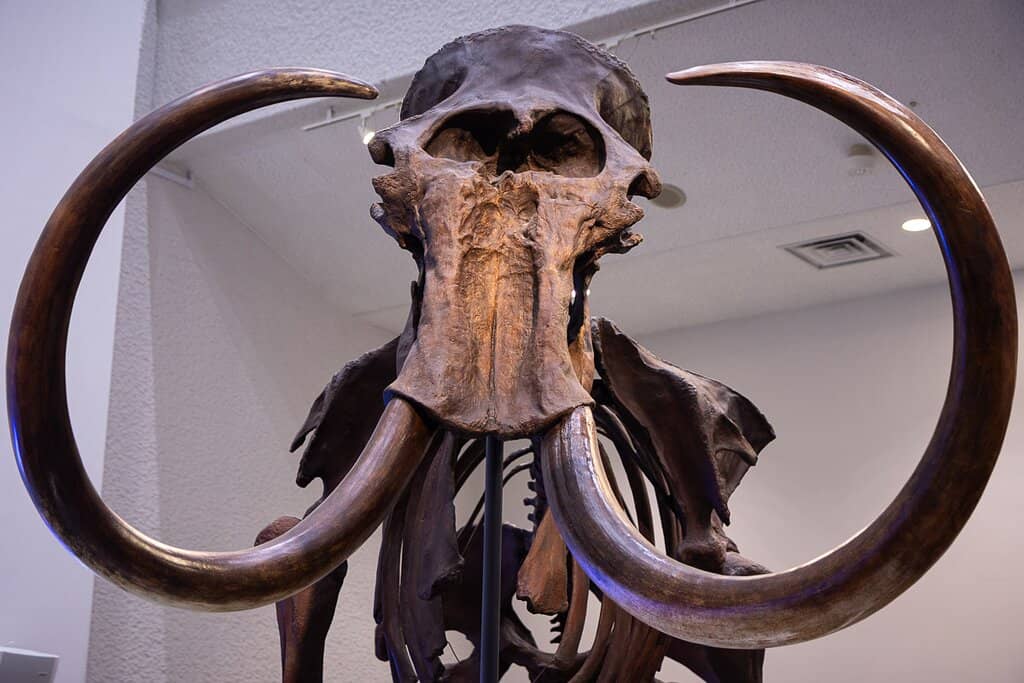 Hokkaido's Development