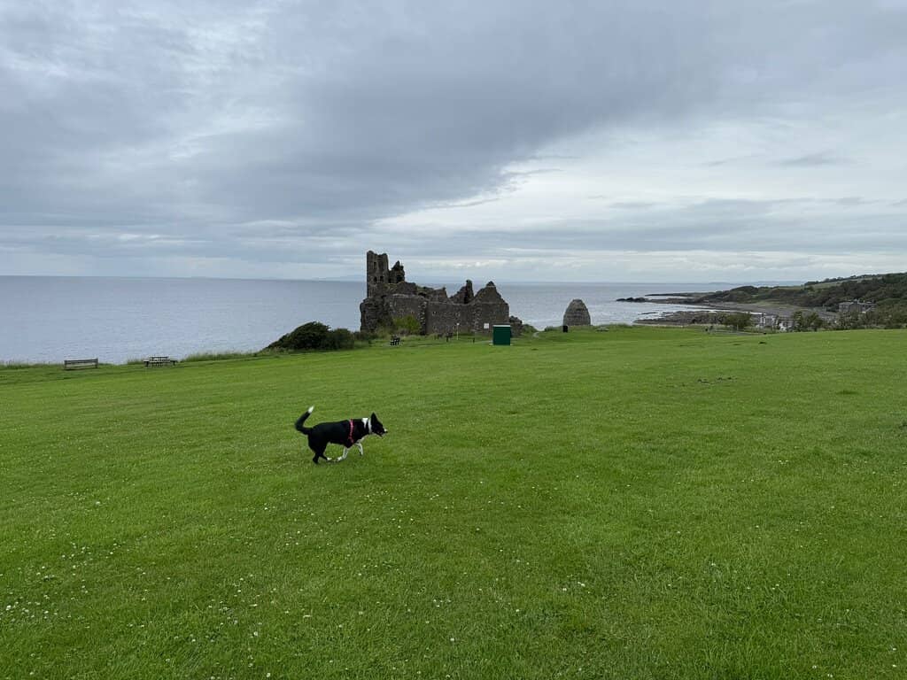 Dunure Harbour