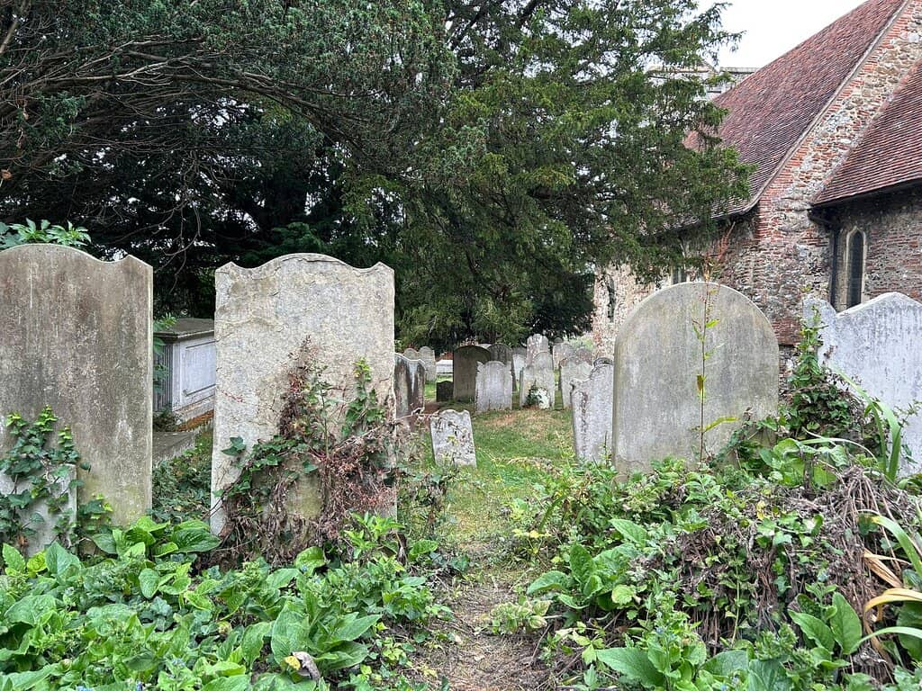 Ancient Stones