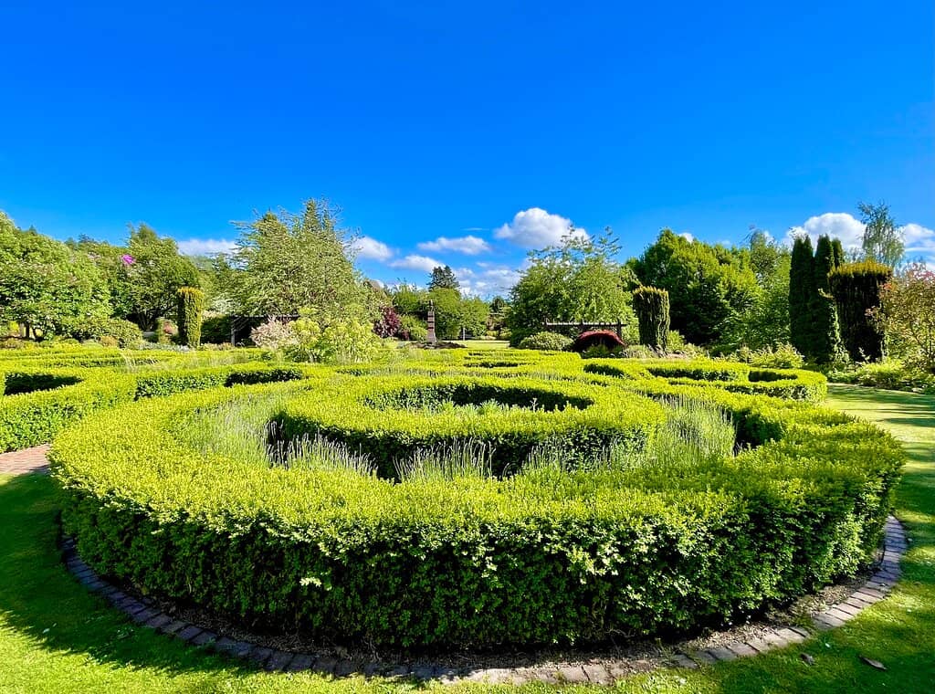 Vibrant Flower Displays