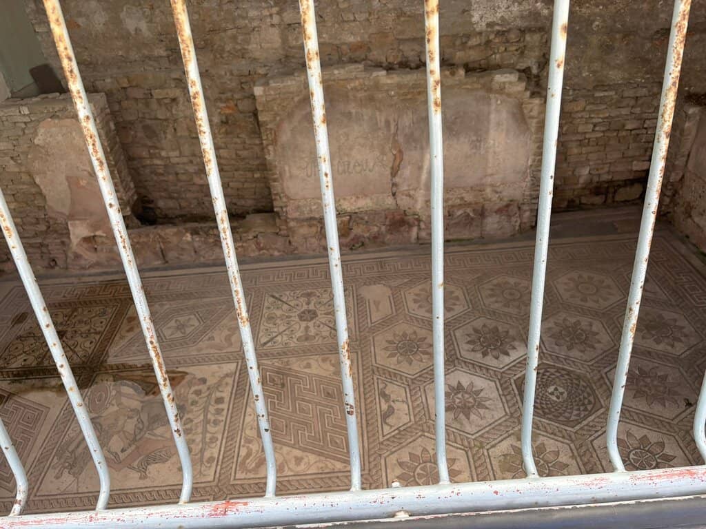 Geometric and Animal Motifs