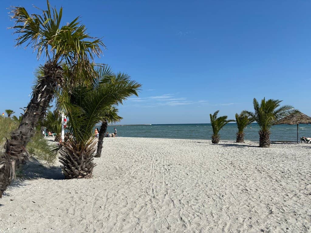 Family-Friendly Fun Zone