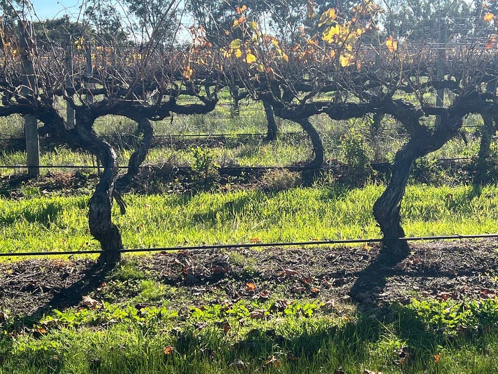 Family Scavenger Hunt